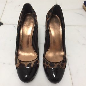 Ann Taylor Leopard Print Heels with Black Cap Toe size 10